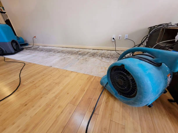 Professional Flood Damage Cleanup technician working in Lawrence, NY